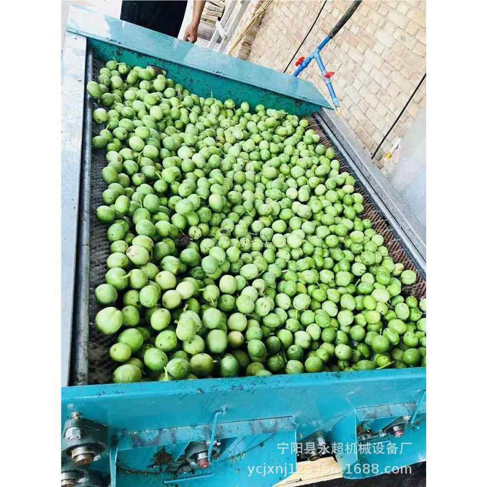 陕西青核桃去皮机核桃青果去鲜机薄皮核桃剥皮机核桃161去 皮机