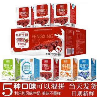 风行红枣枸杞牛奶200ml*36盒24盒12盒整箱装高钙蓝莓原味酸奶纯奶