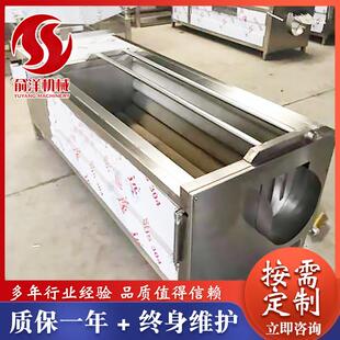 土豆红薯芋头清洗去皮一体机毛辊清洗机中小型蔬菜清洗设备