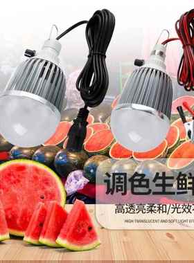12VLED可调色水果灯夜市灯电动三轮车48V60V生鲜灯红色灯地摊灯