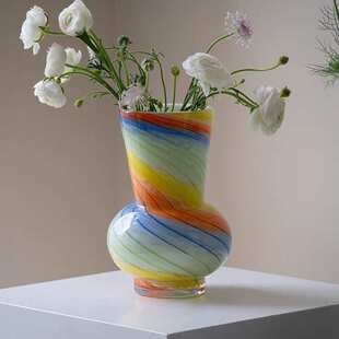 ins风时尚 彩色大肚玻璃花瓶大口径氛围感插花器水培鲜花