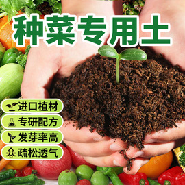 种菜专用土营养土，阳台蔬菜有机肥料室内果蔬育苗种植泥炭土壤泥土