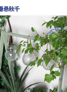 5V吊兰花架子置物架阳台花角多肉架子阶梯式幼儿F77M5J87园植物架