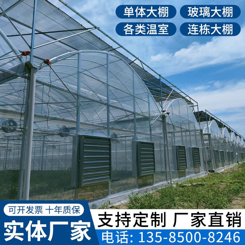 玻璃温室大棚外遮阳连栋连身大棚育苗种植蔬菜各类大棚骨架定制