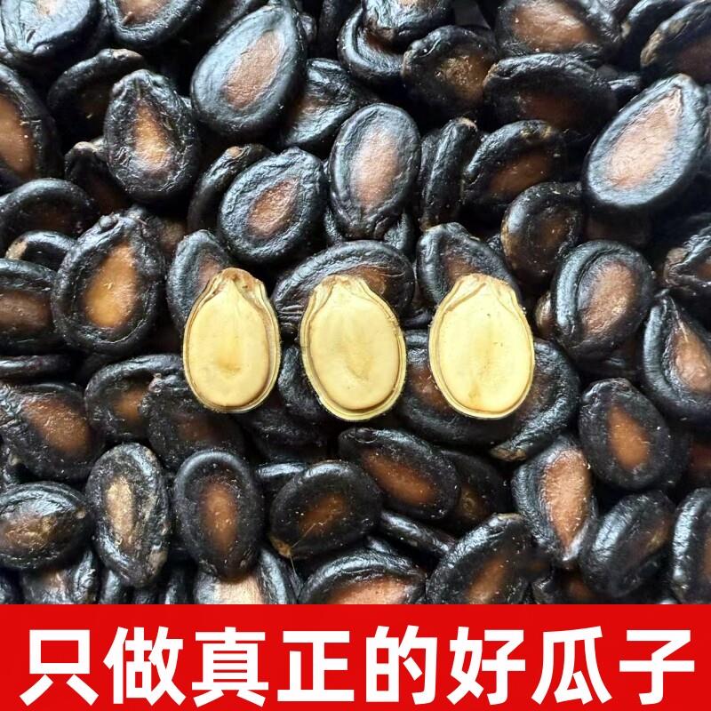 五香味湿西瓜子酱焖水煮喝茶瓜子坚果零食炒货