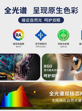 轻奢三头餐厅吊灯包豪斯吧台餐桌吊灯设计师极简绿色圆形岛台吊灯
