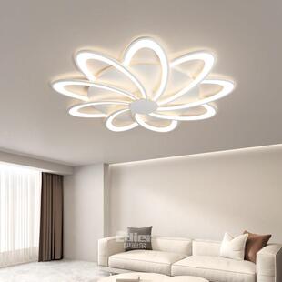 新款 客厅吸顶灯简约现代大气主灯大厅护眼2025年卧室房间LED灯具