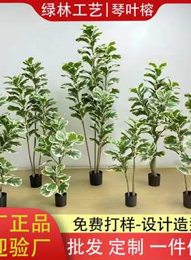 白边琴叶榕仿真盆栽人造橡皮树布叶葫芦树盆景仿真树绿植琴叶榕树