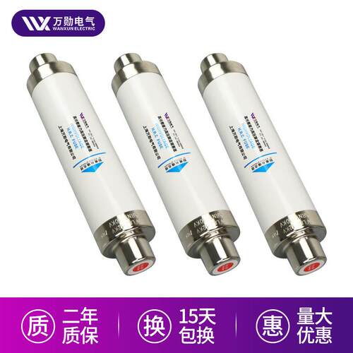 厂家严选高压限流熔断器XRNT-10/63A高压熔管XRNT1-12/200A熔断器