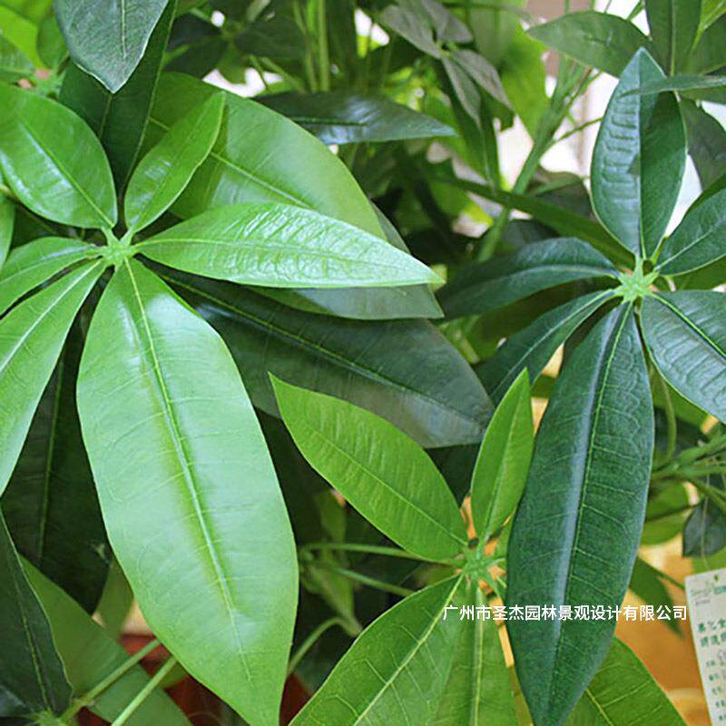 仿真发财树装饰植物室内假盆栽商场客厅大型盆栽落地摆件仿真植物
