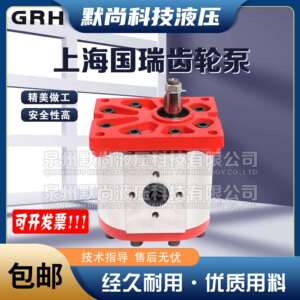 上海国瑞GRH齿轮泵Group2液压泵2PF4F02Z03 2PF6F02Z03高压油泵