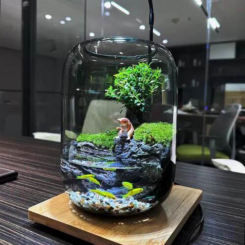 苔藓微景观生态瓶造景植物创意小摆件桌面绿植盆栽玻璃养鱼生态缸