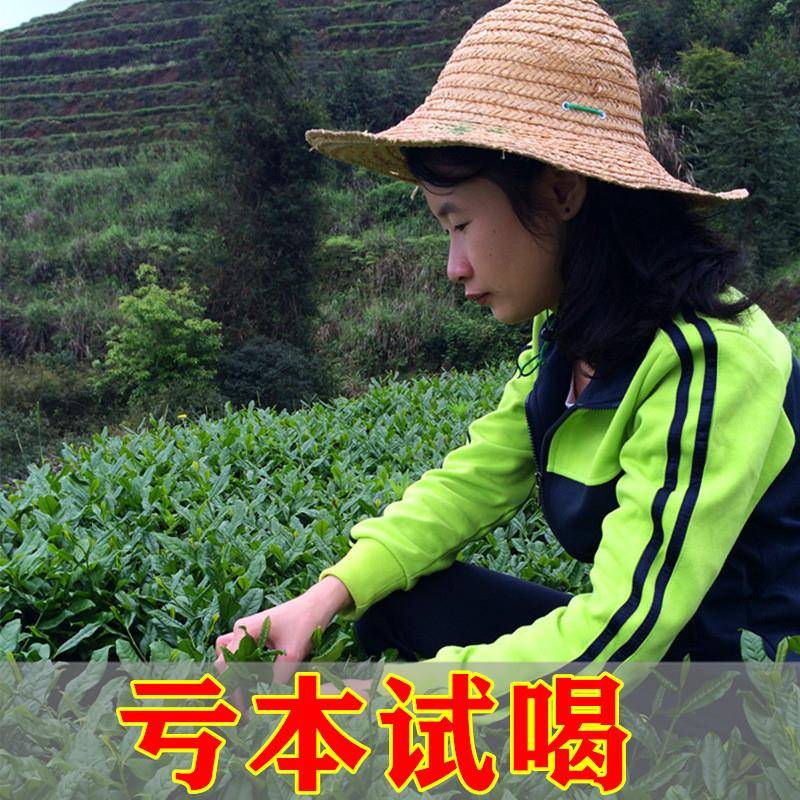 【新茶尝鲜】正宗福建安溪铁观音春茶清香型兰花香秋乌龙茶礼盒装