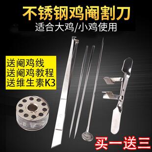 不锈钢阉鸡工具全套大鸡小鸡快速新型 阉鸡器 公鸡 阉割器刀包邮