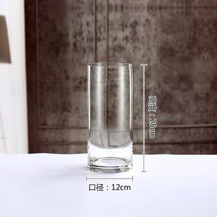 龙柳专用花瓶摆件客厅插花玻璃透明南天竹花瓶水培绿植水养高级感