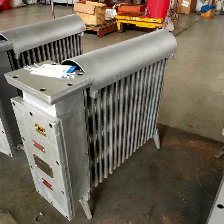 煤矿井下用防爆电暖器 矿用防爆电暖气 RB2000w防爆电热取暖器