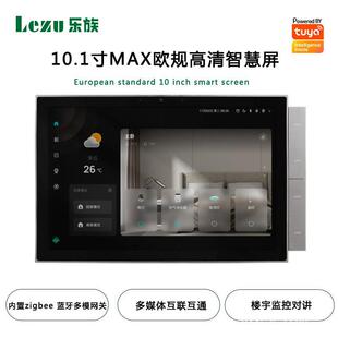 涂鸦欧规10.1寸智慧屏TPA10-M2E内置蓝牙多模网关智能家居屏