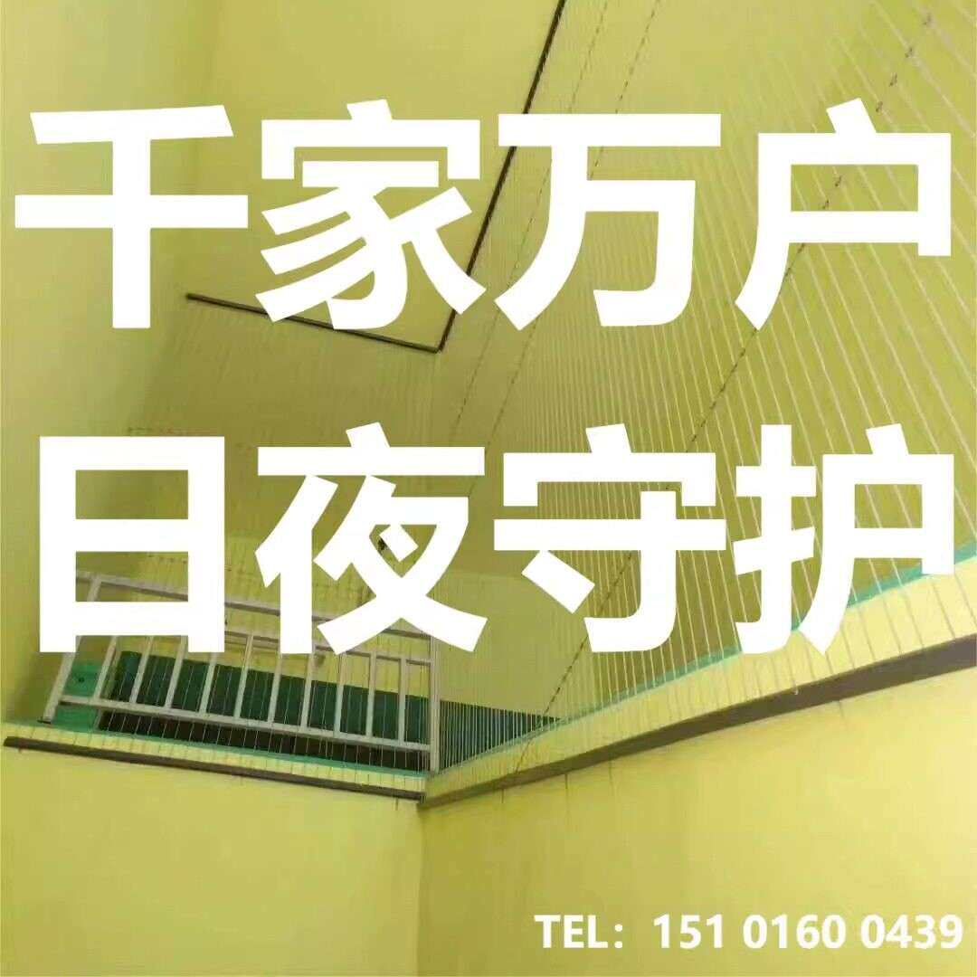 海南海口三亚万宁东方定安琼中保宁陵水儿童隐形防护防盗网窗栏猫