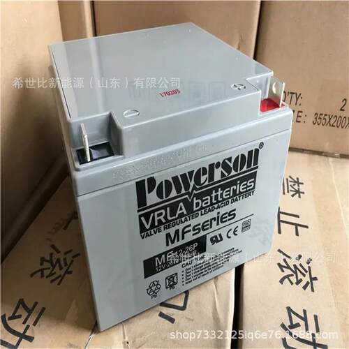 复华蓄电池MF12-100铅酸免维护蓄电池12V100AHEPS应急电源