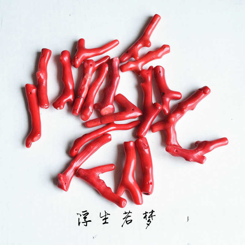 海竹珊瑚随形不规则随形树枝枝丫形diy手工项链手链锁骨链配饰