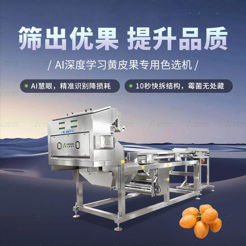 水果色选机葡萄干蓝莓干分色机干果筛选设备小型色选机家用