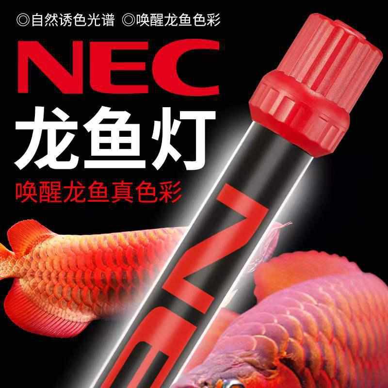 灯鱼缸色灯红灯架灯鱼缸龙烤鱼鱼缸水族t8灯照明诱灯架nec龙厂家