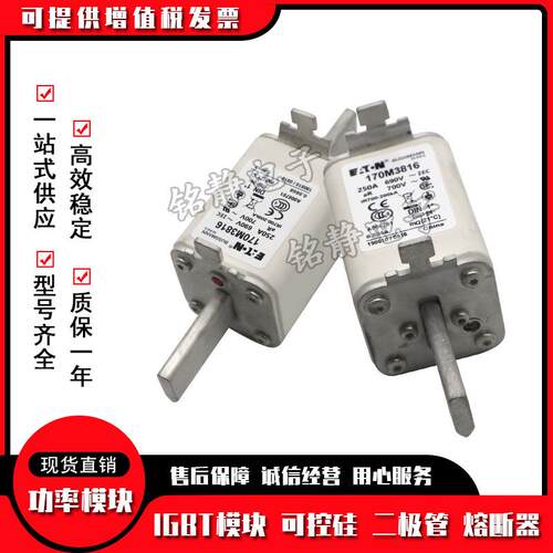 170M3537 170M3538 170M3539 170M3540 170M3541巴斯曼熔断器