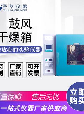 厂家直销DHG-9035A9055A9075A9145A9245A电热恒温鼓风干燥箱