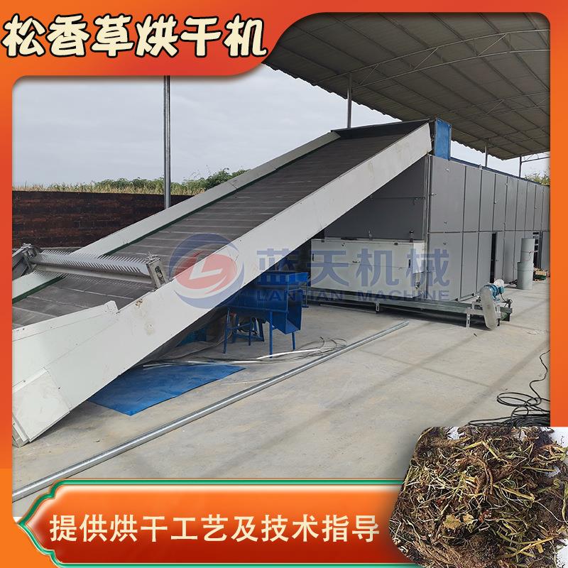 网带式松香草烘干机串叶菊花草香槟草干燥机松香草饲料烘干设备