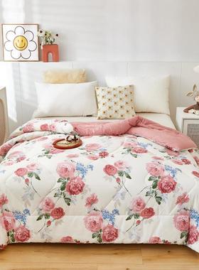 南里外全棉春棉花被DNY41229加厚冬被棉絮垫被褥纯子棉通秋被子双