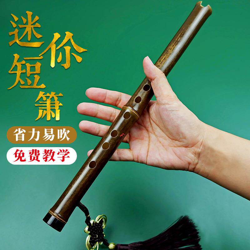 玄硕便携入门洞箫零基础紫竹短萧高级迷你小萧笛古风六孔调箫乐