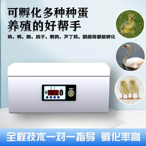 孵化器小型家用智能水床小鸡孵化机孵小鸡的机器鸡鸭鹅水床孵蛋器