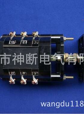 【】LW2D-10/Z1A420/F8【温州长江开关厂】转换开关