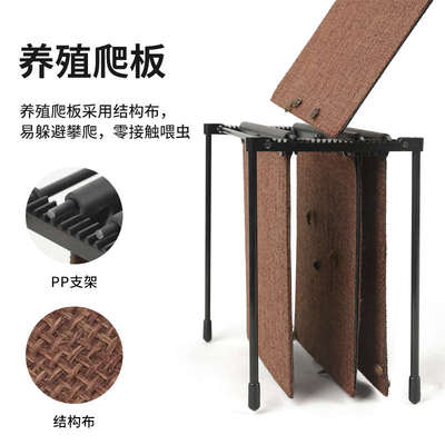 杜比亚蟑螂饲养盒爬虫箱爬宠养殖携带箱蟋蟀躲避专用油葫芦笼蛐蛐