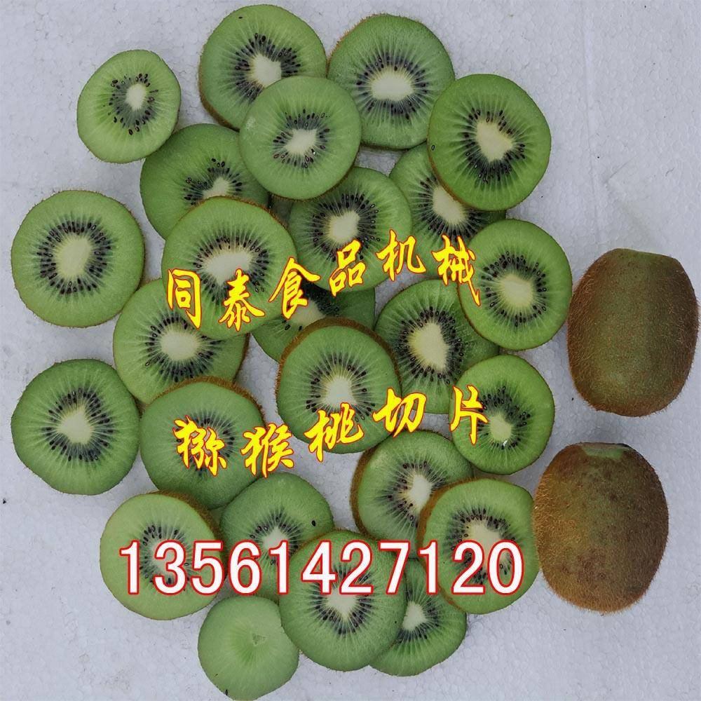 厂家现货QP500型定向猕猴桃切片机 柠檬切片机 水果蔬菜切片机器