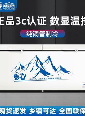智系列冰柜式冷藏冷冻用大容量铜管卧节双能冷商QAW冻柜单温温