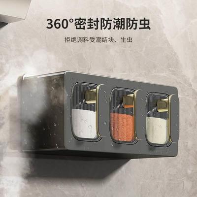 Seasoning Box Condiment Storage Container Rack Spice Jar