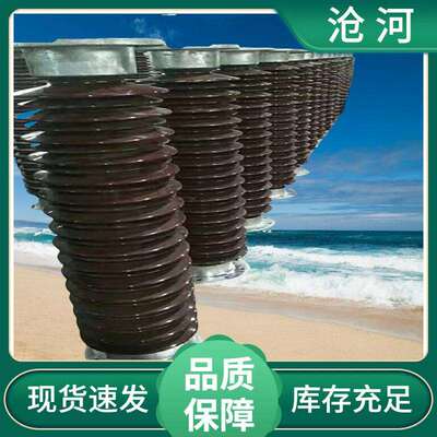 户外陶瓷棒型支柱绝缘子ZSW- ZSW2-220/16K-3棒型瓷支柱电力器材