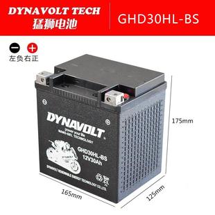 哈雷大滑翔电瓶路王庞巴迪260摩托艇春风沙滩车12v30猛狮胶体电池