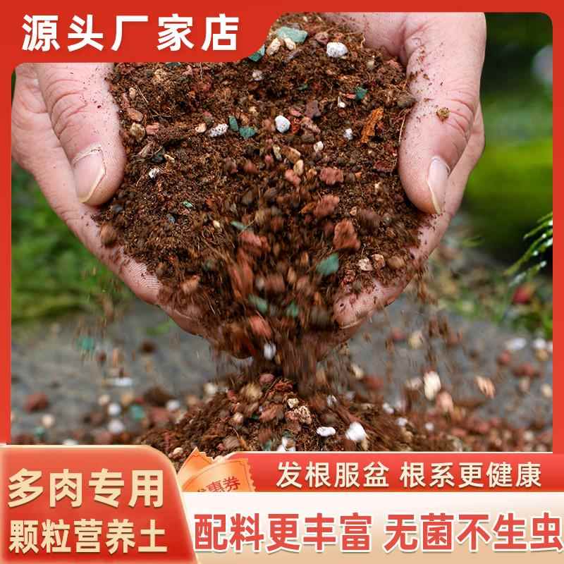 多肉颗粒土营养土种植土铺面石纯颗粒老桩透气多肉专用土盆栽小苗
