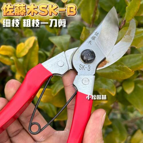 台湾佐藤木果树修枝剪省力园艺花剪刀果园树枝剪粗枝剪园林剪枝剪