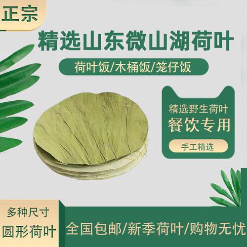新疆包邮微山湖荷叶新鲜整张干荷叶切片圆形糯米鸡叫花鸡干荷叶熬