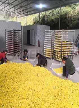 辣椒水果空气能金银花烘机785 香热菇泵干烘干房 循中药材热风环