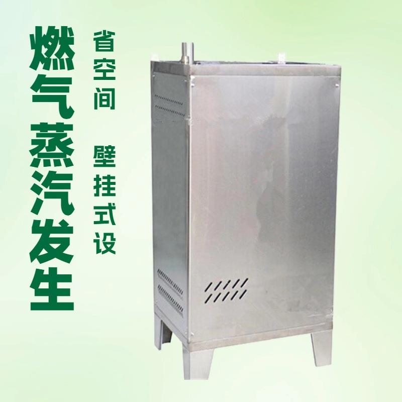 燃气煤气液化气 天然气节能蒸汽发生机器 壁挂式节能蒸汽机