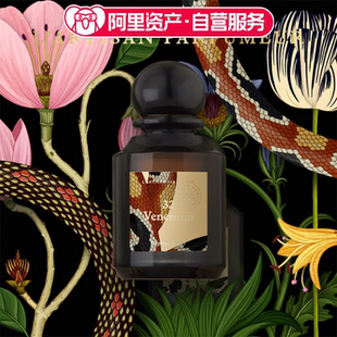 阿蒂仙之香植物秘境系列神秘深渊熄灯木质