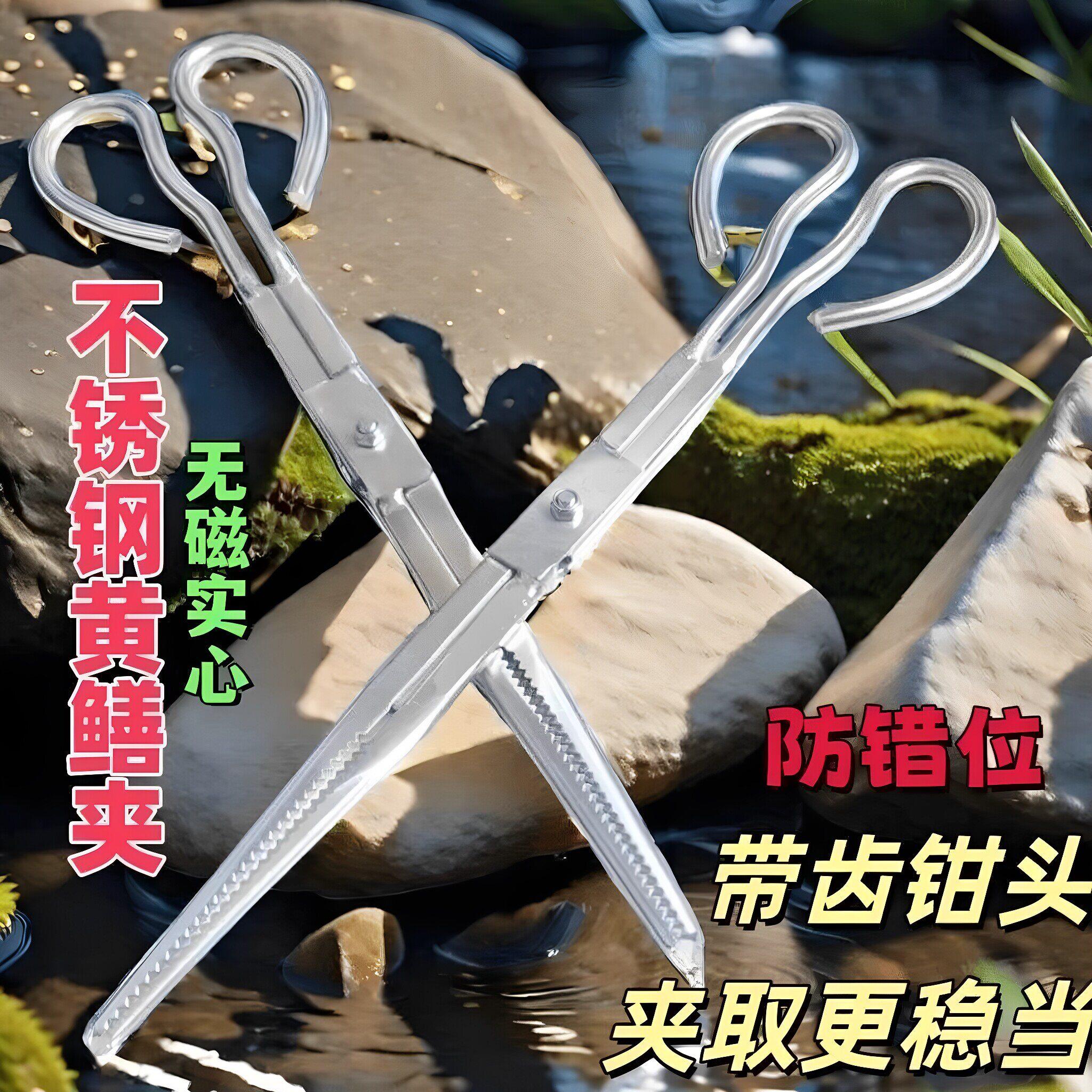 黄鳝夹子不锈钢泥鳅夹螃蟹夹加厚防滑赶海夹子鳝鱼泥鳅专用工具