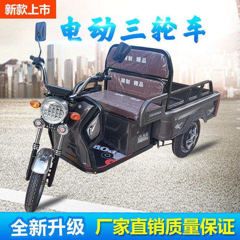 电动三轮车成人小型老人迷你接送孩子货车拉货新款老年代步车三轮