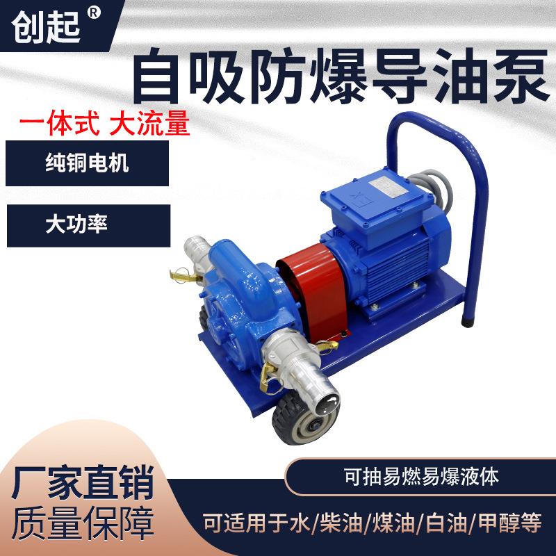 电动抽油泵12v24v220v防爆导油卸油泵大流量柴油汽油油罐车抽油泵