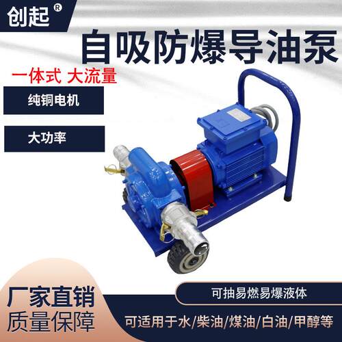 电动抽油泵12v24v220v防爆导油卸油泵大流量柴油汽油油罐车抽油泵