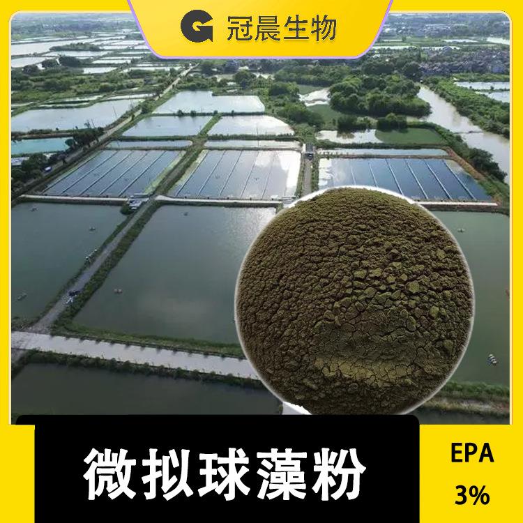 拟微球藻粉 EPA1% 蛋白质40% 微拟球藻粉 饲料原料